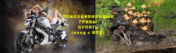 метамфетамин Козловка