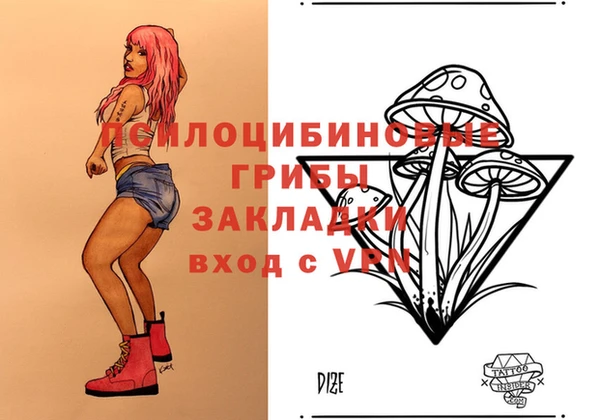 метамфетамин Козловка