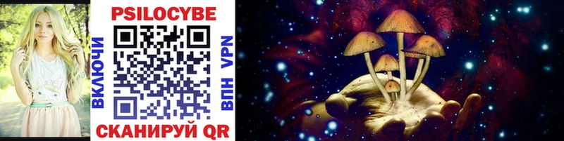 Купить закладки  Реутов  Псилоцибиновые грибы мицелий 